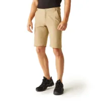 Regatta Highton Long Shorts