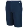 Regatta Highton Long Shorts