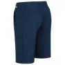 Regatta Highton Long Shorts