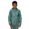 Regatta Hywell Softshelljakke
