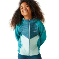 Regatta Kielder Hybrid Viii Jakke