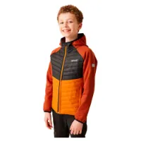 Regatta Kielder Hybrid Viii Jakke