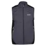 Regatta Lankin Iv Vest
