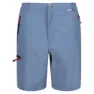 Regatta Leesville Ii Shorts