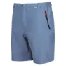 Regatta Leesville Ii Shorts