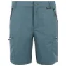 Regatta Leesville Iii Shorts