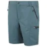 Regatta Leesville Iii Shorts