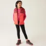 Regatta Lofthouse B/w Ii Vest