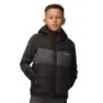 Regatta Lofthouse Vest