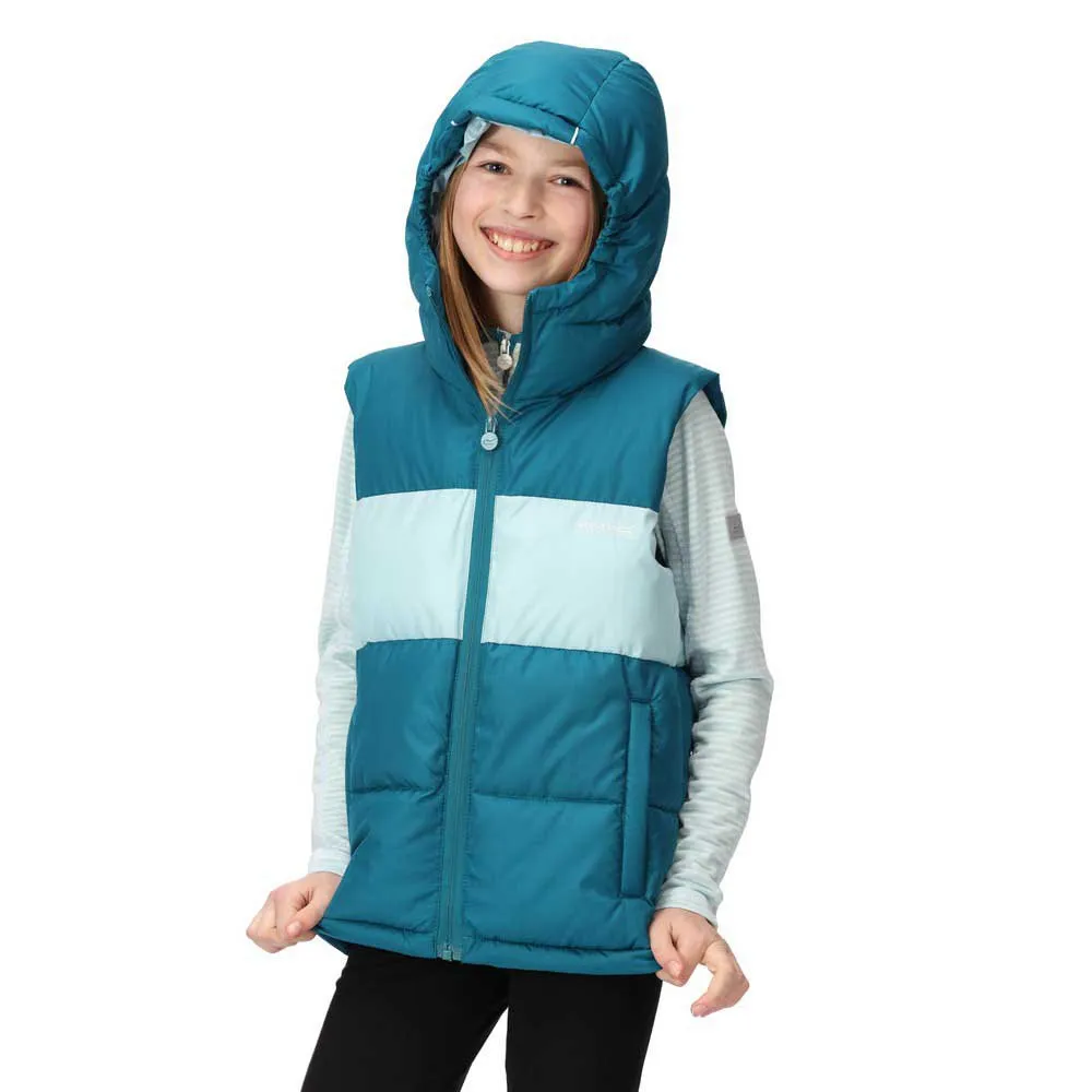 Regatta Lofthouse Vest