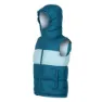 Regatta Lofthouse Vest
