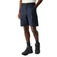 Regatta Mallen Shorts