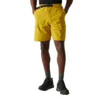 Regatta Mallen Shorts