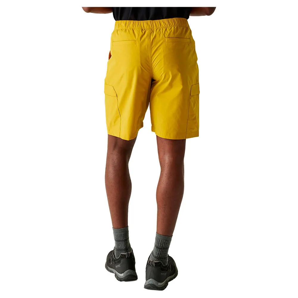 Regatta Mallen Shorts Regatta Mallen Shorts
