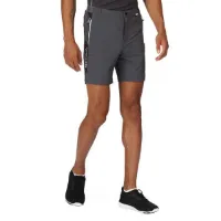 Regatta Mountain Ii Shorts