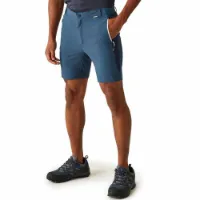 Regatta Mountain Ii Shorts