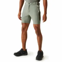 Regatta Mountain Ii Shorts Regatta Mountain Ii Shorts