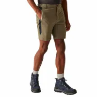 Regatta Mountain Ii Shorts