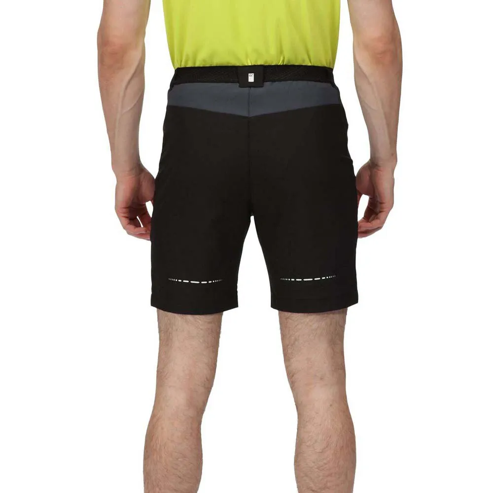 Regatta Mountain Ii Shorts Regatta Mountain Ii Shorts