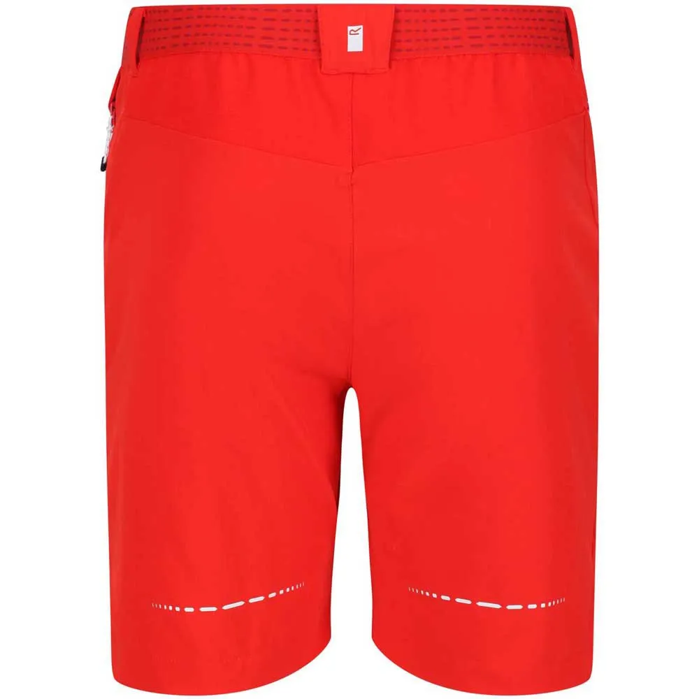 Regatta Mountain Ii Shorts