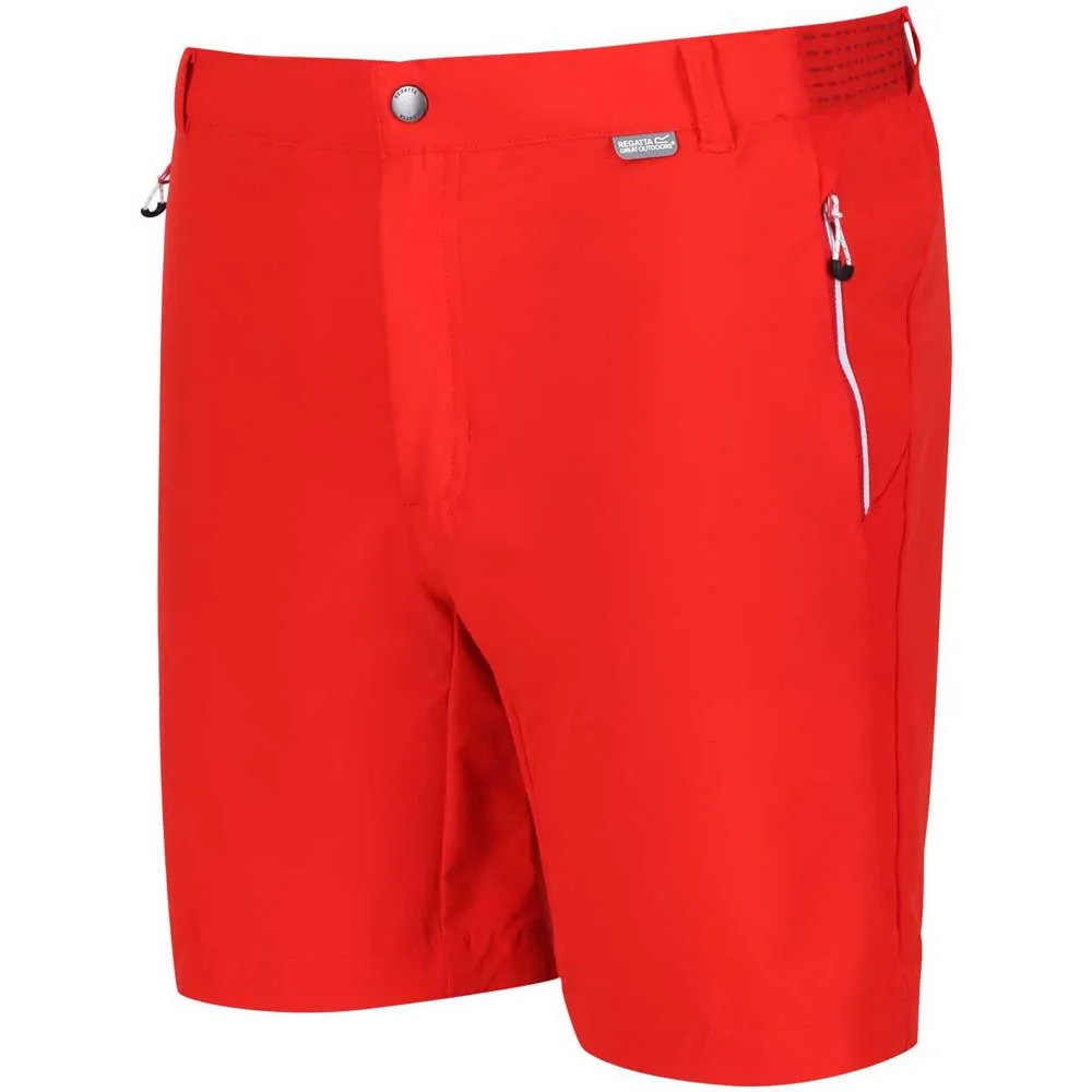 Regatta Mountain Ii Shorts