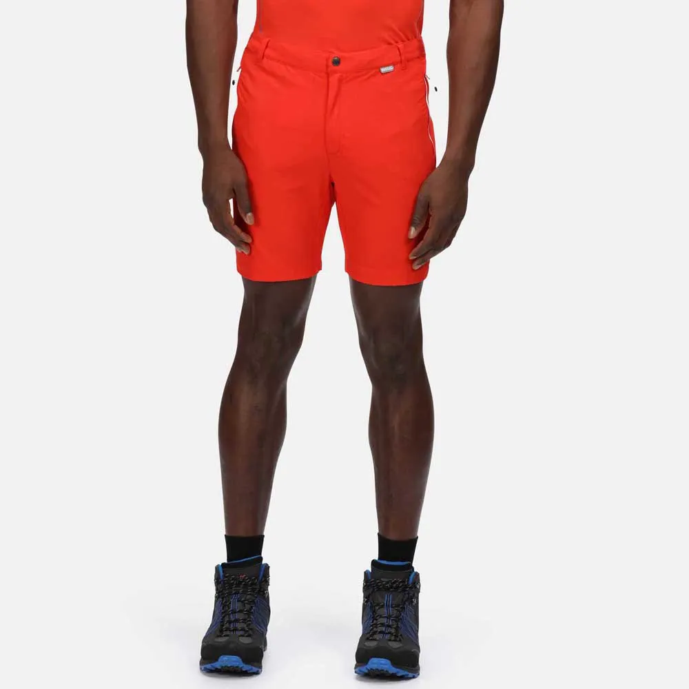 Regatta Mountain Ii Shorts