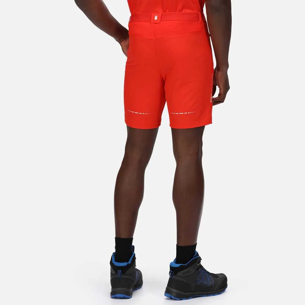 Regatta Mountain Ii Shorts
