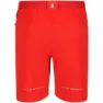 Regatta Mountain Ii Shorts