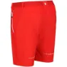 Regatta Mountain Ii Shorts