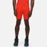 Regatta Mountain Ii Shorts