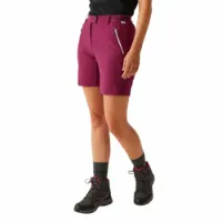 Regatta Mountain Shortsii Shorts