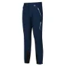 Regatta Mountain Winter Regular Bukser, Mnltdnm / mnlt