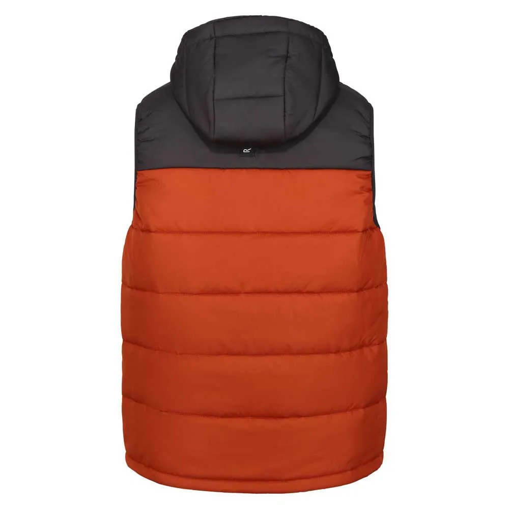 Regatta Nevado Vest