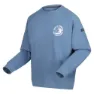 Regatta Nithdale Fleece