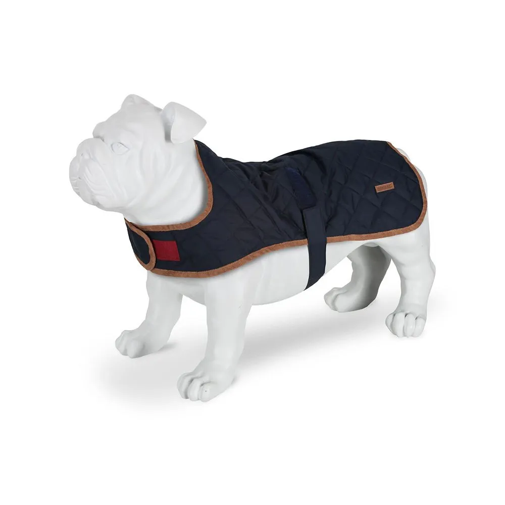 Regatta Odie Hundegenser