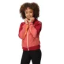 Regatta Prenton Ii Softshelljakke