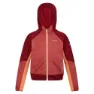 Regatta Prenton Ii Softshelljakke