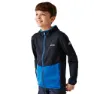 Navy / olympian blue