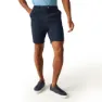 Regatta Sabden Shorts