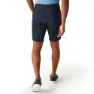 Regatta Sabden Shorts