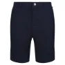 Regatta Sabden Shorts