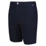Regatta Sabden Shorts