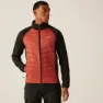 Regatta Sacramento X Jakke Refurbished, Red ochre / black