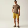 Regatta Shorebay Ii Shorts