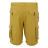Regatta Shorebay Ii Shorts