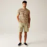 Regatta Shorebay Ii Shorts