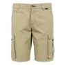 Regatta Shorebay Ii Shorts