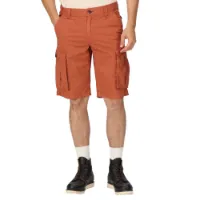Regatta Shorebay Shorts Regatta Shorebay Shorts