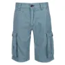 Regatta Shorebay Shorts