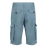 Regatta Shorebay Shorts